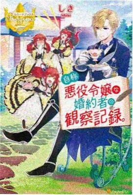 同人动画 第三阶段档案封面：阵营对峙的战场画面