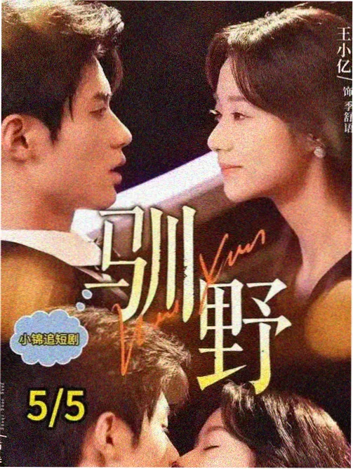 同人动画 名场面剧照：分屏呈现的频道刷屏